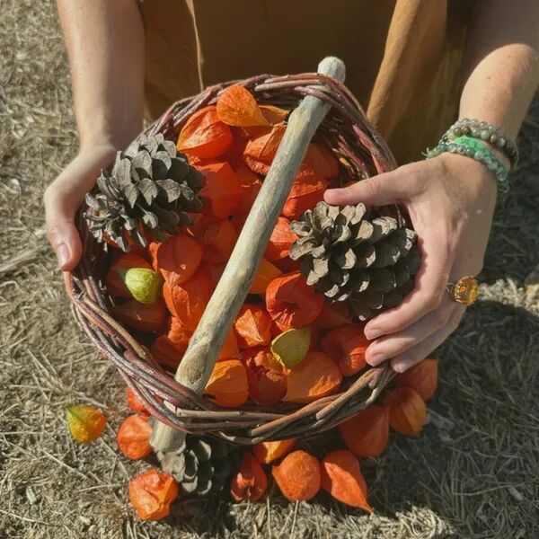 L'automne est là! 